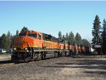 BNSF 105